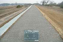 仁古田涸沼川堤防